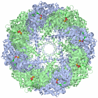 Image Biological Unit 1