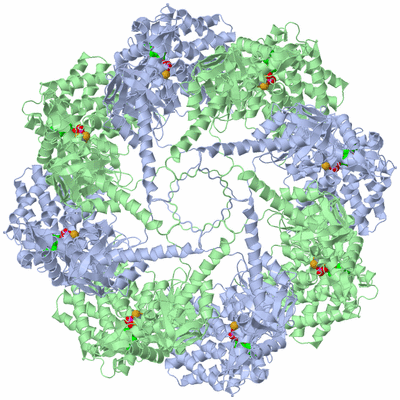 Image Biological Unit 2