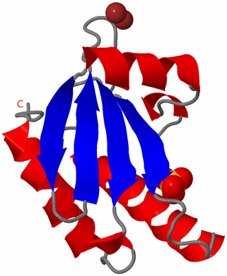 Image Asymmetric Unit