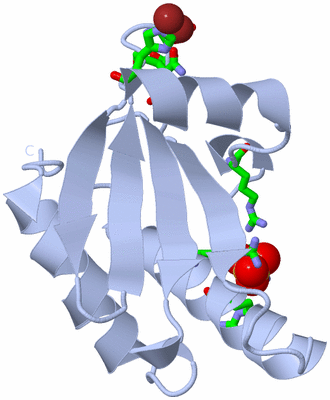 Image Biol. Unit 1 - sites