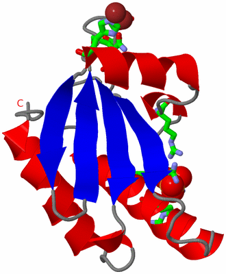 Image Asym. Unit - sites