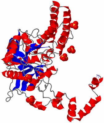 Image Asymmetric Unit