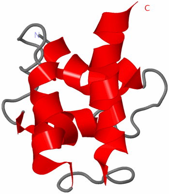 Image NMR Structure - model 1