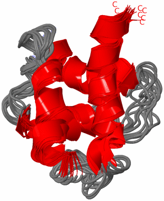 Image NMR Structure - all models