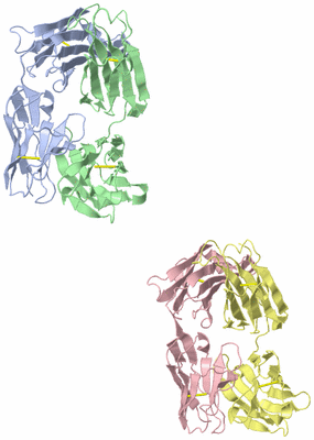 Image Asymmetric Unit