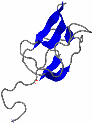 Image NMR Structure - model 1