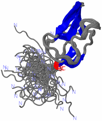 Image NMR Structure - all models