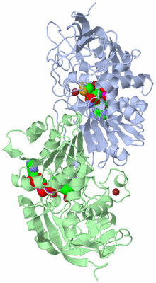 Image Asym./Biol. Unit