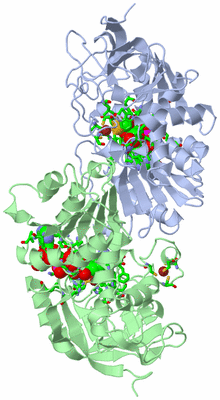 Image Asym./Biol. Unit - sites