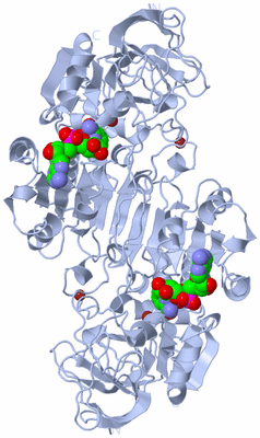 Image Biological Unit 1