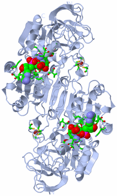 Image Biol. Unit 1 - sites