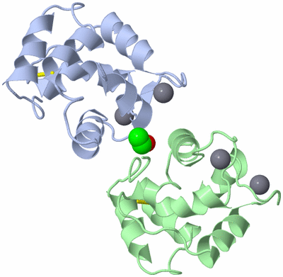 Image Asymmetric Unit