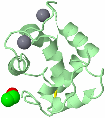 Image Biological Unit 2