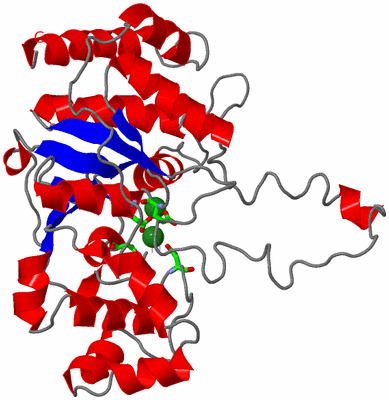 Image Asym./Biol. Unit - sites