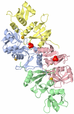 Image Asym./Biol. Unit