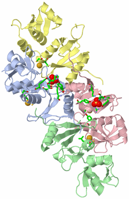 Image Asym./Biol. Unit - sites