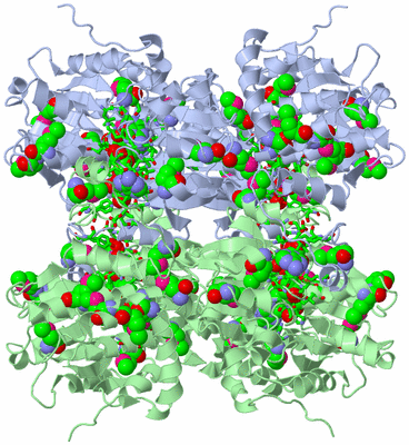 Image Biol. Unit 1 - sites