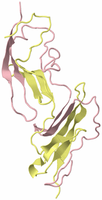 Image Biological Unit 3