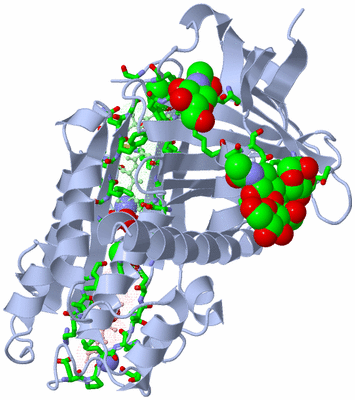 Image Asym./Biol. Unit - sites