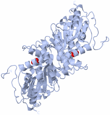 Image Biological Unit 3