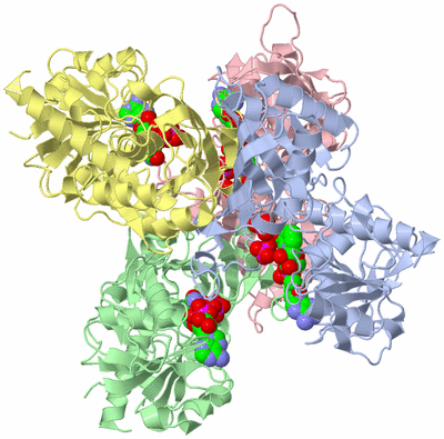 Image Asym./Biol. Unit