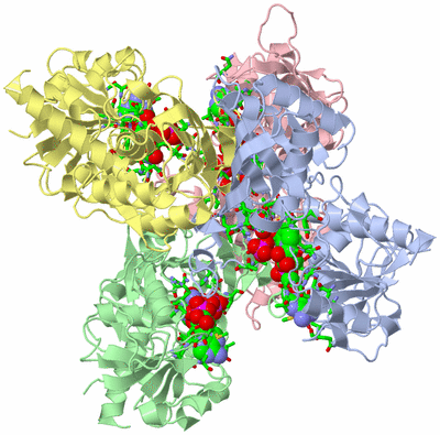 Image Asym./Biol. Unit - sites