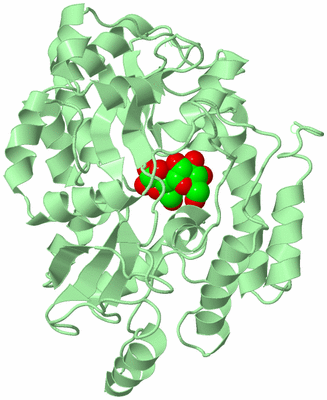 Image Biological Unit 2