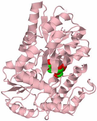 Image Biological Unit 3