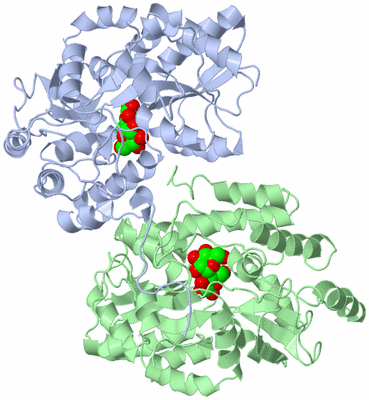 Image Biological Unit 4