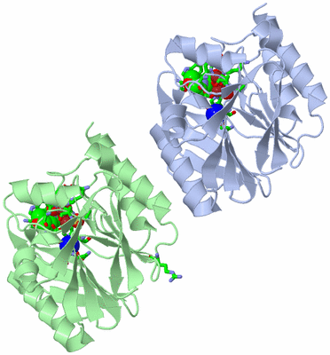 Image Asym./Biol. Unit - sites