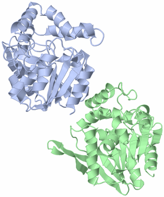 Image Asym./Biol. Unit
