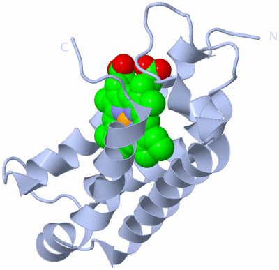 Image Biological Unit 1