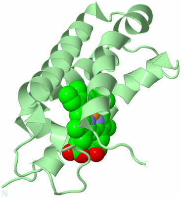 Image Biological Unit 2