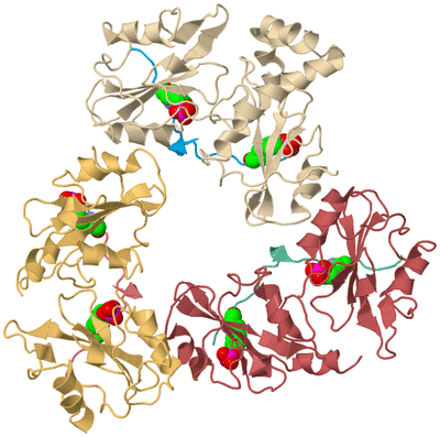 Image Biological Unit 1