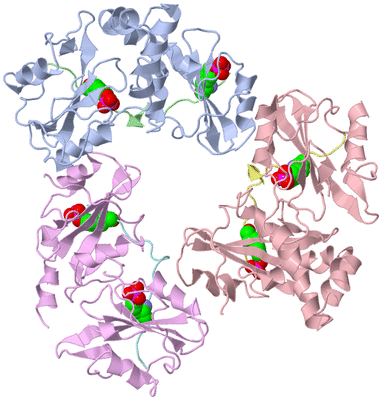 Image Biological Unit 2