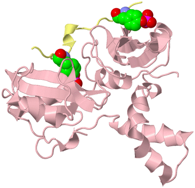 Image Biological Unit 3