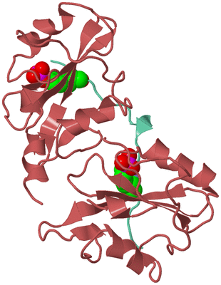 Image Biological Unit 4