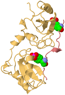 Image Biological Unit 5