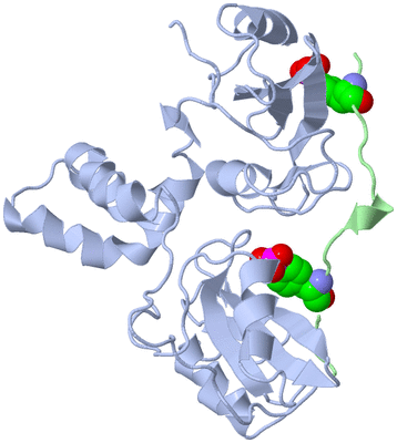 Image Biological Unit 6