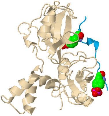 Image Biological Unit 7