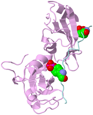 Image Biological Unit 8