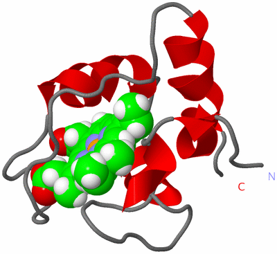 Image NMR Structure - model 1