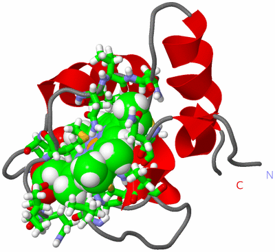 Image NMR Structure - model 1, sites