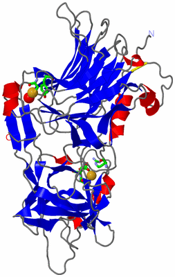 Image Asym./Biol. Unit - sites