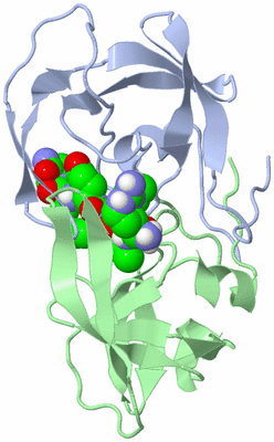 Image Biological Unit 1