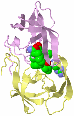 Image Biological Unit 2