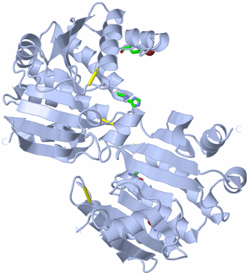 Image Biol. Unit 1 - sites