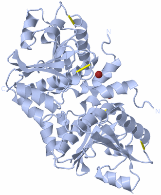 Image Biological Unit 2