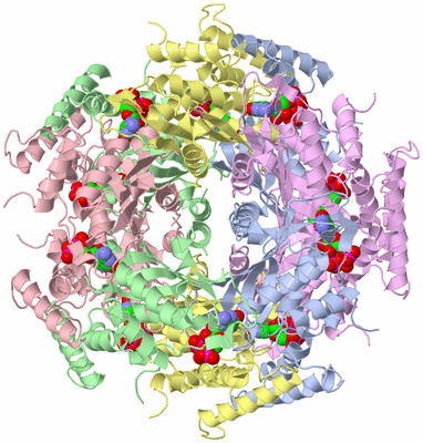 Image Biological Unit 1