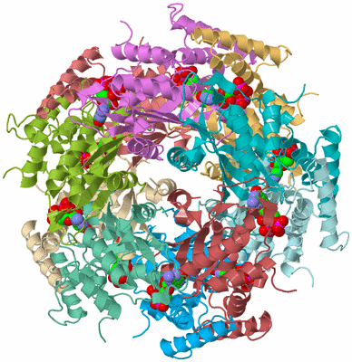 Image Biological Unit 2